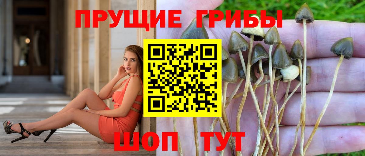 Галлюциногенные грибы прущие грибы  купить закладку  Минеральные Воды  Вход с VPN  Галлюциногенные грибы прущие грибы 